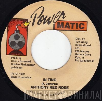 Anthony Red Rose  - In Ting