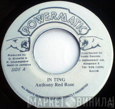Anthony Red Rose  - In Ting