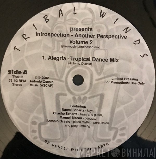 Antonio Ocasio - Introspection - Another Perspective Volume 2