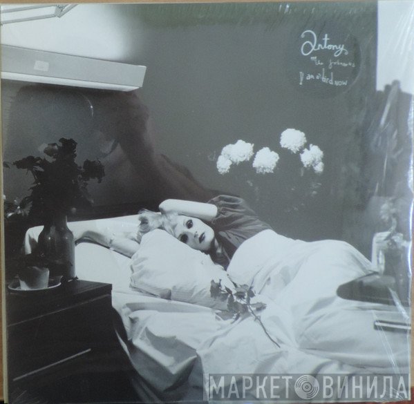 Antony And The Johnsons - I Am A Bird Now