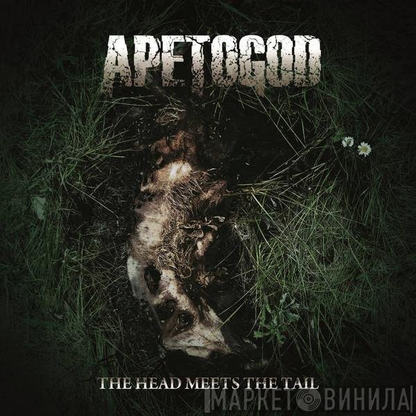 Ape To God - The Head Meets The Tail
