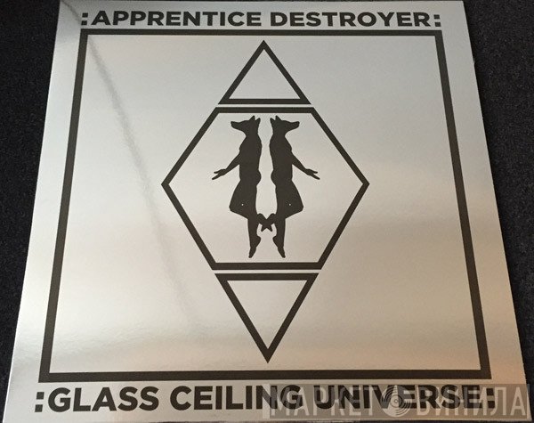 Apprentice Destroyer - Glass Ceiling Universe