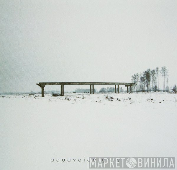 Aquavoice - Grey