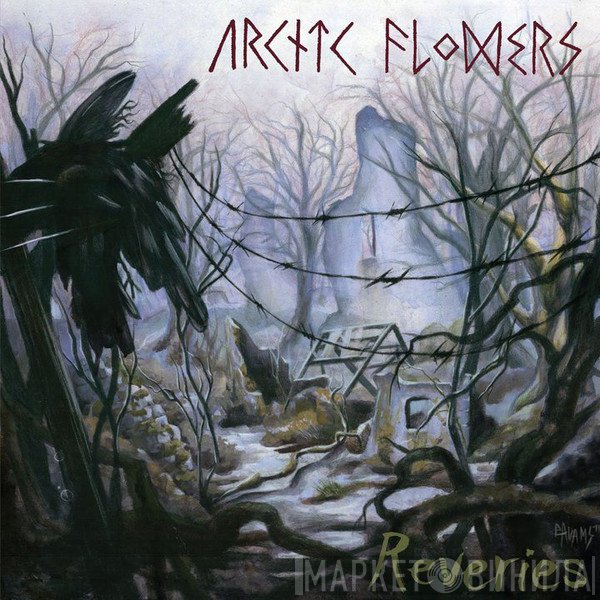Arctic Flowers  - Reveries