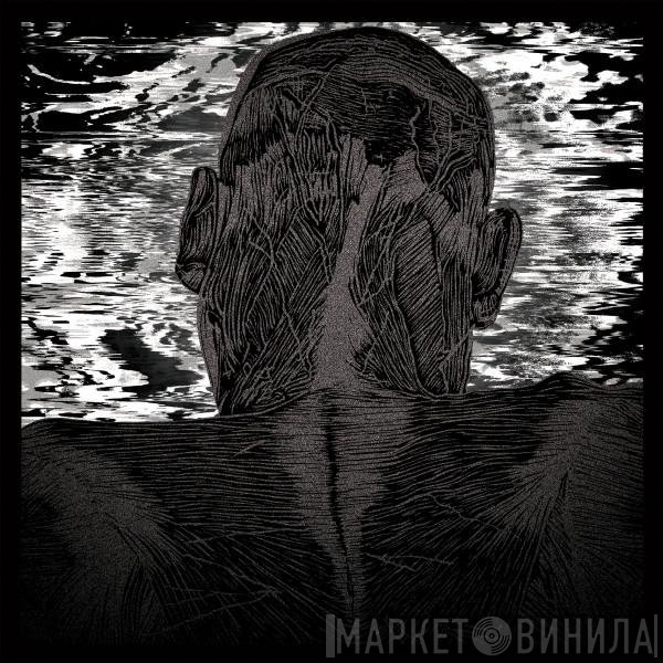 Asher Levitas - Lit Harness