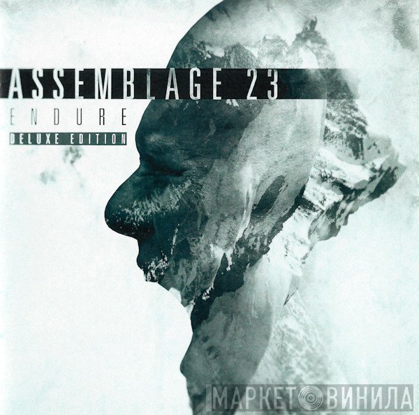 Assemblage 23  - Endure