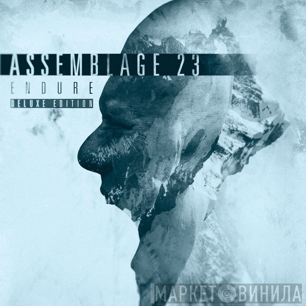 Assemblage 23  - Endure