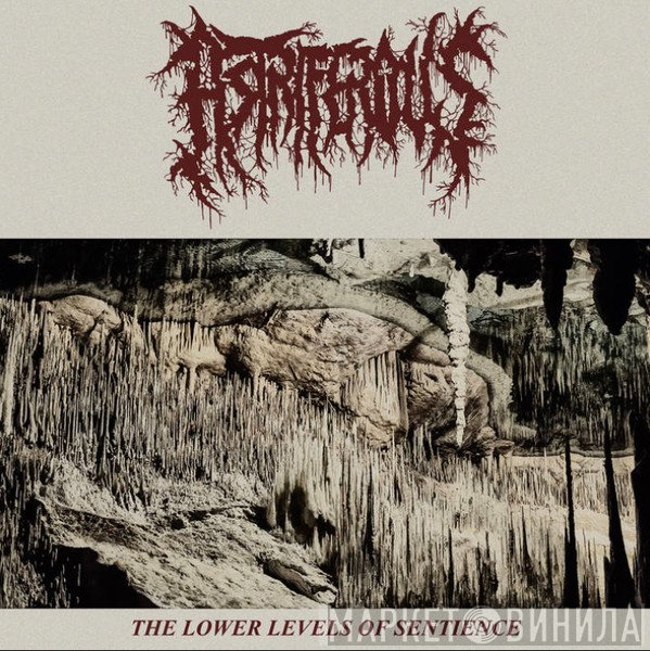 Astriferous - The Lower Levels Of Sentience
