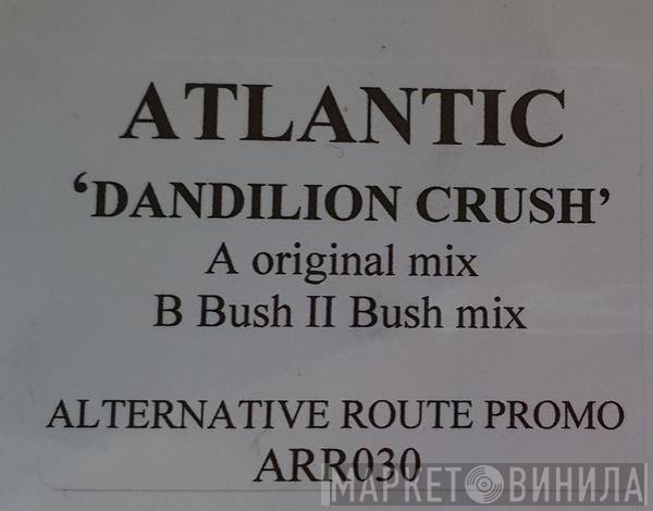 Atlantic  - Dandelion Crush