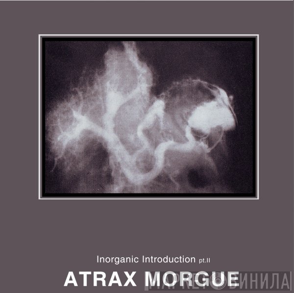 Atrax Morgue  - Inorganic Introduction Pt.II