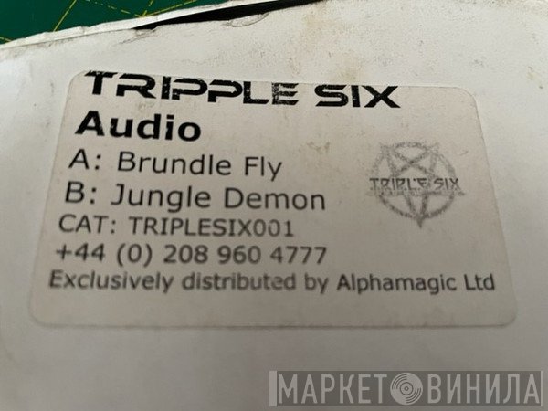 Audio - Brundle Fly / Jungle Demon