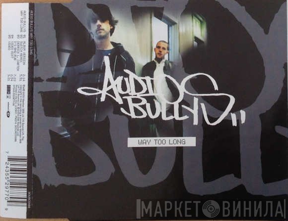 Audio Bullys  - Way Too Long