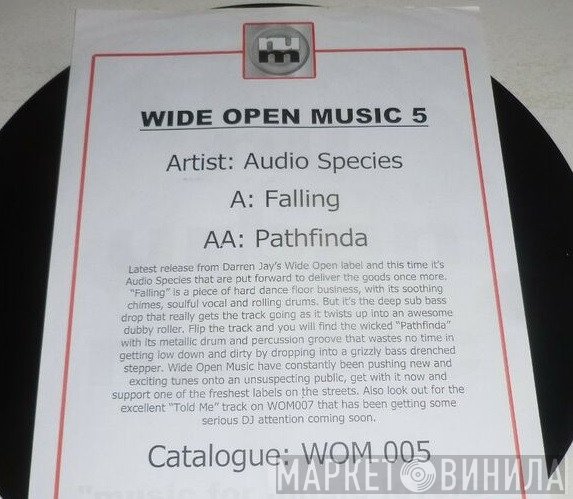 Audio Species - Falling / Pathfinda