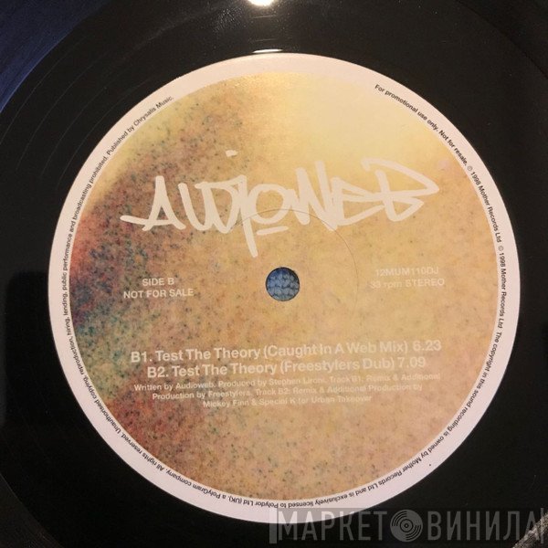 Audioweb - Test The Theory