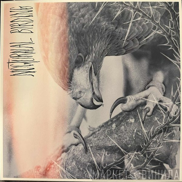 Author & Punisher - Nocturnal Birding