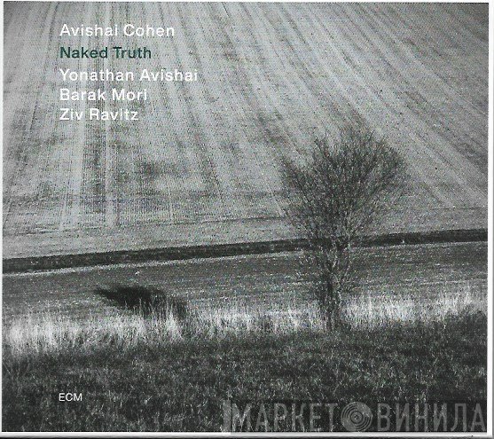 Avishai E. Cohen, Yonathan Avishai, Barak Mori, Ziv Ravitz  - Naked Truth