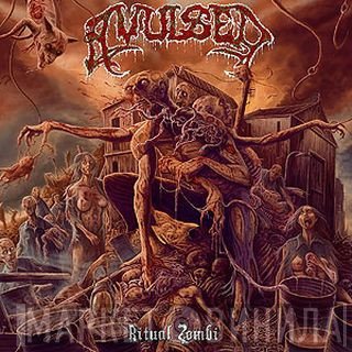 Avulsed  - Ritual Zombi