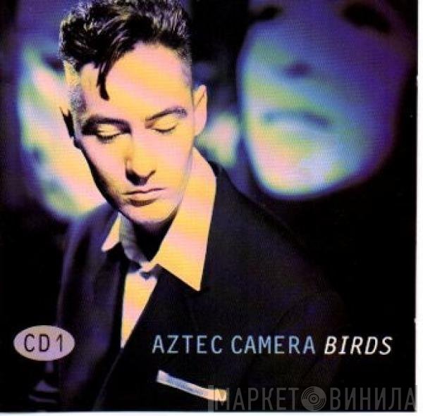 Aztec Camera  - Birds