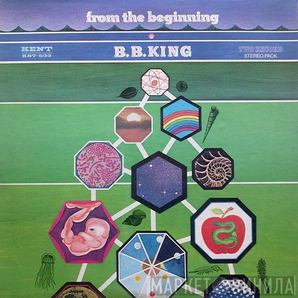 B.B. King - From The Beginning