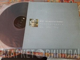 B12 - Electro-Soma