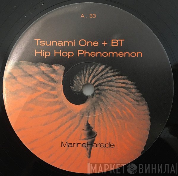 BT, Tsunami One - Hip Hop Phenomenon