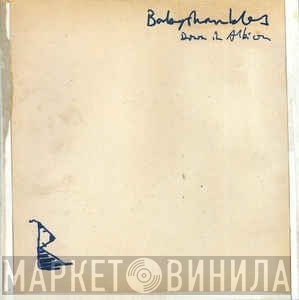 Babyshambles  - Down In Albion