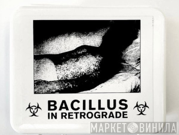 Bacillus  - In Retrograde