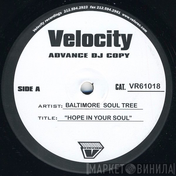 Baltimore Soul Tree - Hope In Your Soul