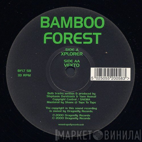 Bamboo Forest - Xplorer / Vekto