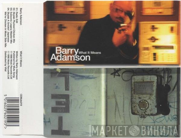 Barry Adamson  - What It Means