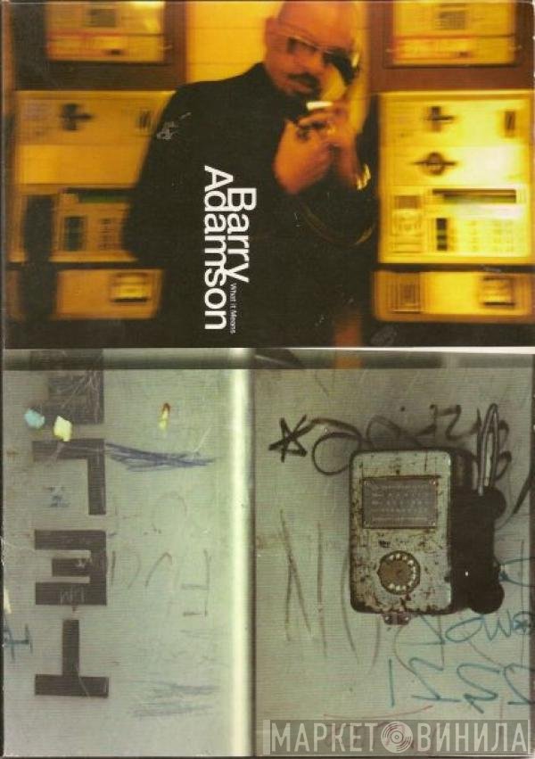 Barry Adamson - What It Means