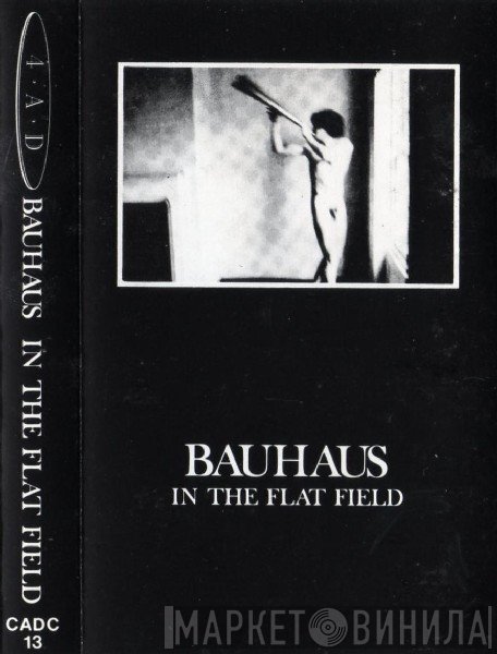 Bauhaus  - In The Flat Field
