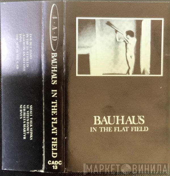 Bauhaus  - In The Flat Field