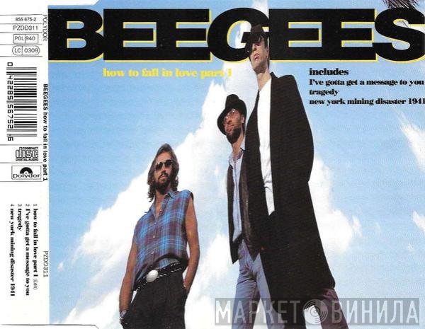 Bee Gees - How To Fall In Love Part 1