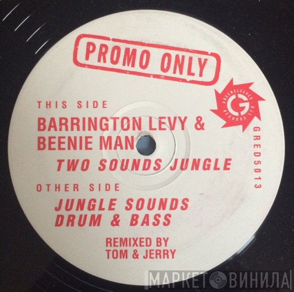 Beenie Man, Barrington Levy - Two Sounds Jungle / Jungle Sounds Drum'n'bass (Tom & Jerry Remixes)