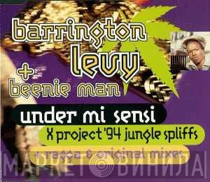 Beenie Man, Barrington Levy - Under Mi Sensi