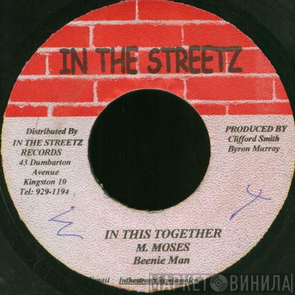 Beenie Man  - In This Together