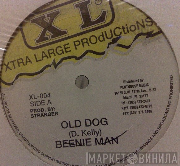 Beenie Man - Old Dog