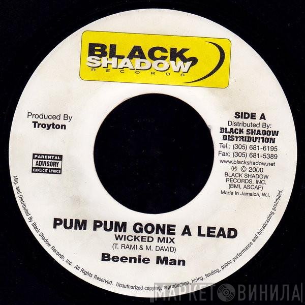 Beenie Man - Pum Pum Gone A Lead