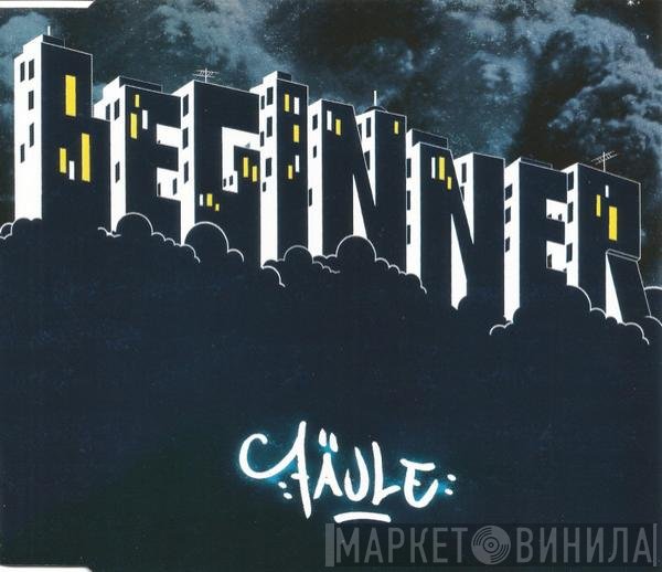 Beginner  - Fäule
