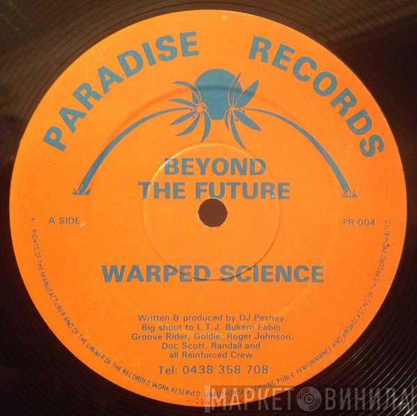 Beyond The Future - Warped Science / Disillusioned