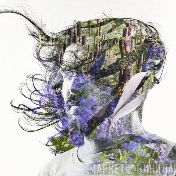 Bibio  - Ribbons