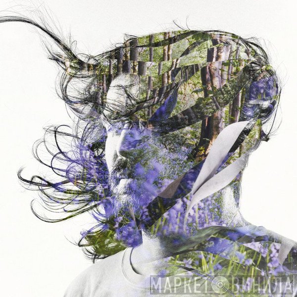 Bibio  - Ribbons