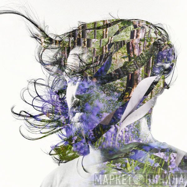 Bibio  - Ribbons