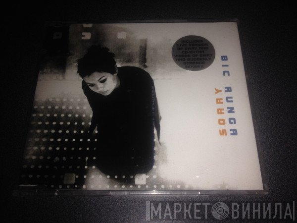 Bic Runga  - Sorry