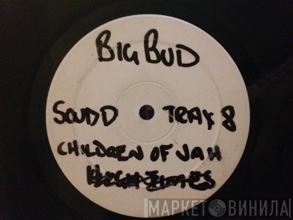 Big Bud - Fear Of Flying (Album Sampler 1)