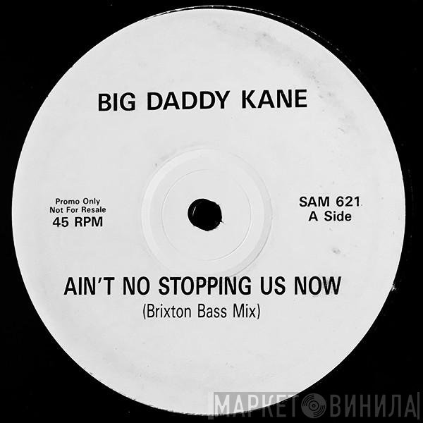 Big Daddy Kane - Ain't No Stopping Us Now