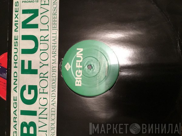 Big Fun - Living For Your Love
