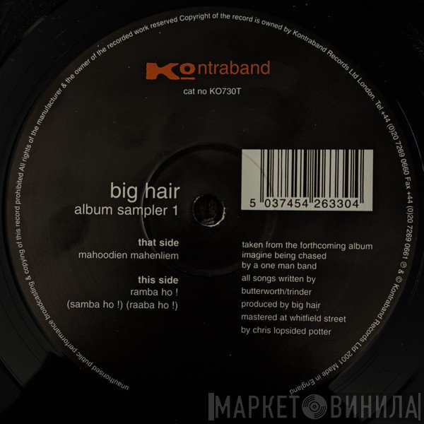 Big Hair - Album Sampler 1