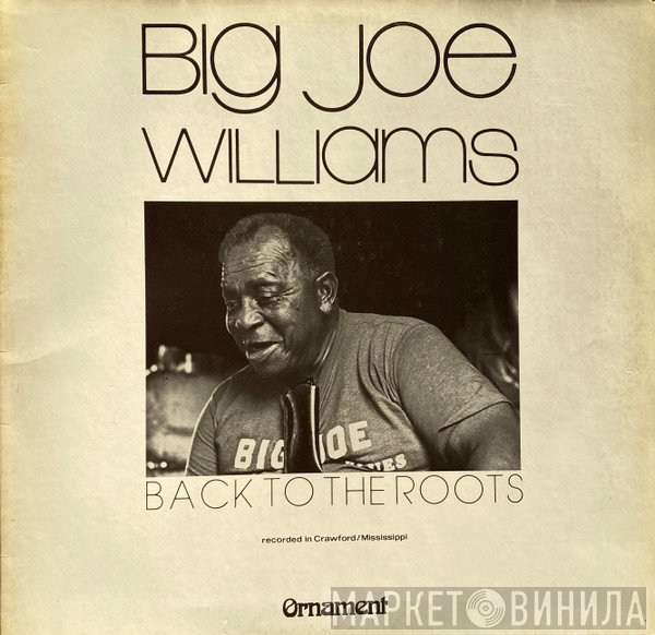 Big Joe Williams  - Back To The Roots